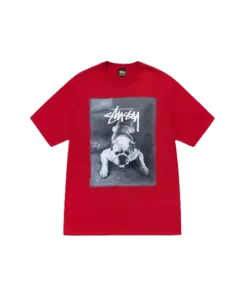 STUSSY BULLDOG TEE RED