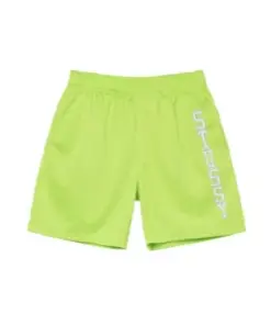 STUSSY COLLEGIATE MESH SHORT