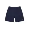 stussy-Blue Shorts For Men